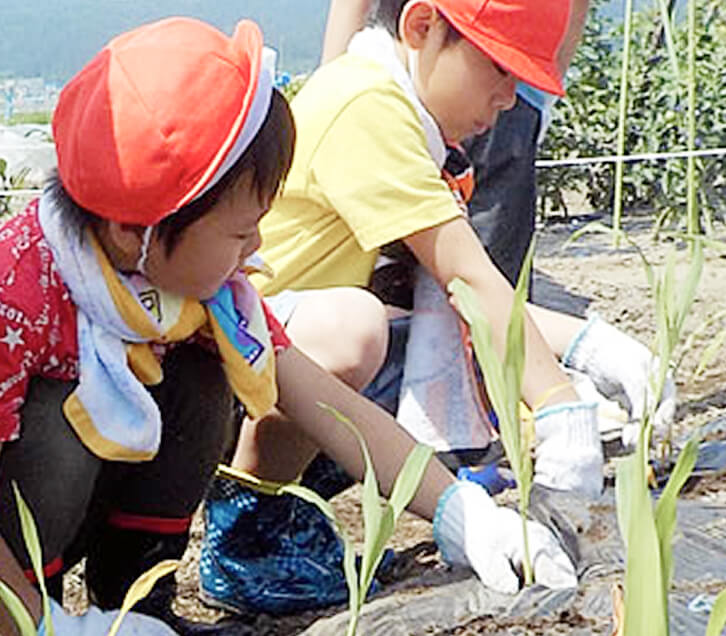 苗を植える園児